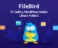 FileBird Pro