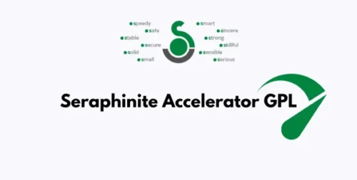 Seraphinite Accelerator GPL 2.22.2