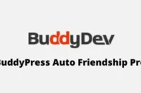 BuddyPress Auto Friendship Pro GPL