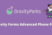 Gravity Perks Advanced Phone Field Addon GPL