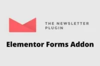 Newsletter Elementor Forms Addon GPL