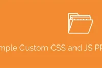 Simple Custom CSS and JS PRO GPL