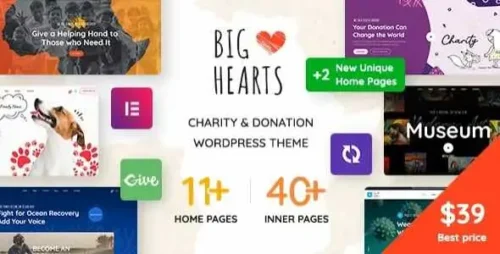 BigHearts Theme GPL v3.1.0 – Charity & Donation WordPress Theme